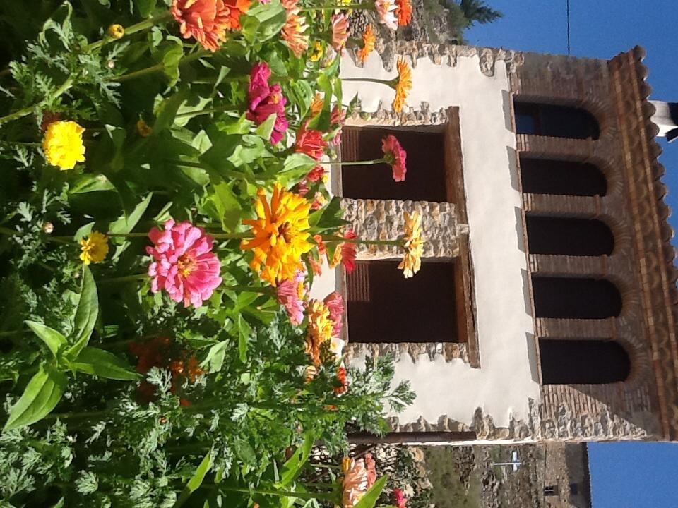 Casa Rural Caseta De L' Hort Villafranca del Cid Room photo